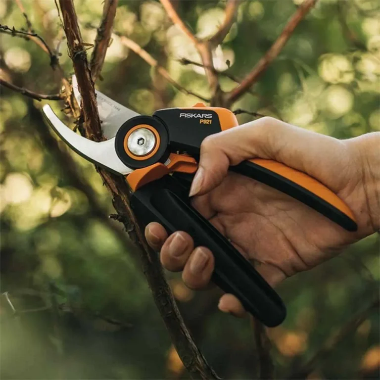 Pruning Shear